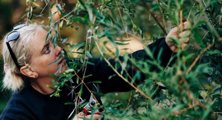 Verdis dotterbolag Crafttech tar hand om din trädgård