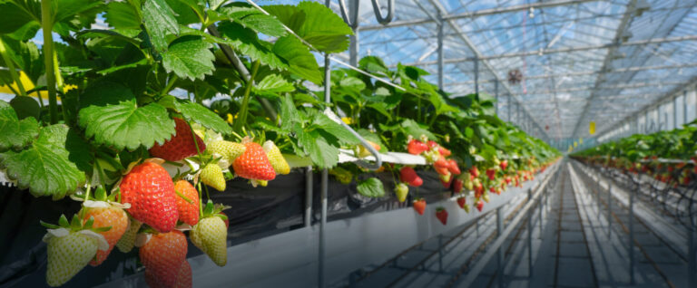 Återvinning av trädgårdsavfall Återvinning av trädgårdsavfall